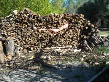holzstappel_getting_in_wood_b