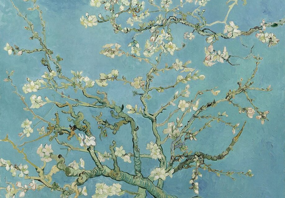Vincent van Gogh, Ramo di mandorlo in fiore, 1890